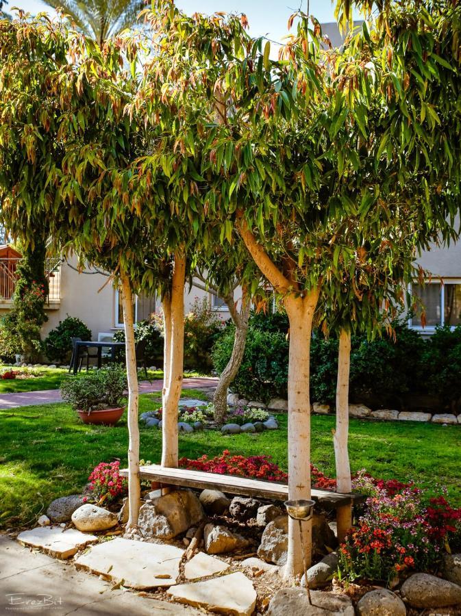 Shaar Hagolan Kibbutz Country Lodging Kültér fotó