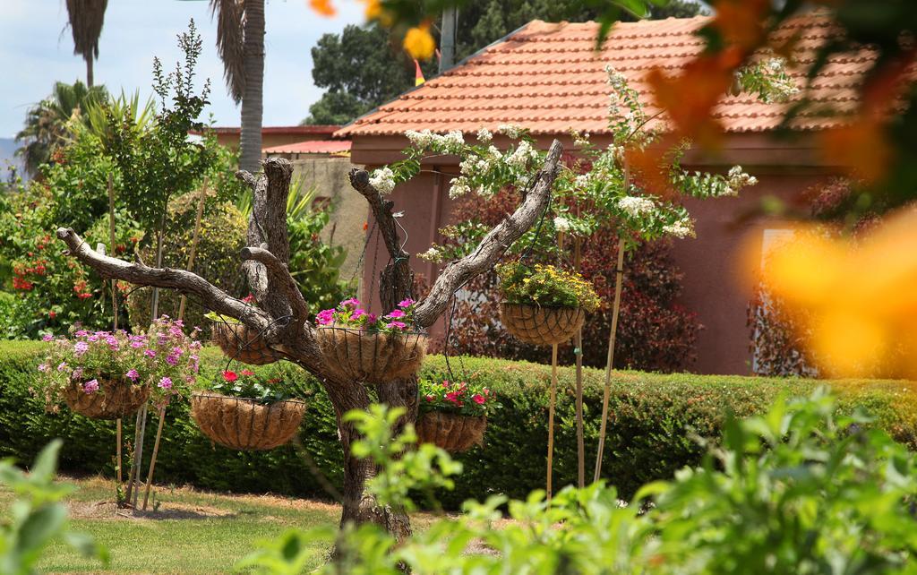 Shaar Hagolan Kibbutz Country Lodging Kültér fotó
