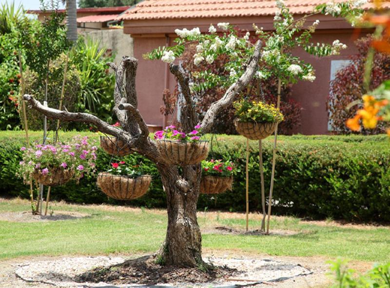 Shaar Hagolan Kibbutz Country Lodging Kültér fotó